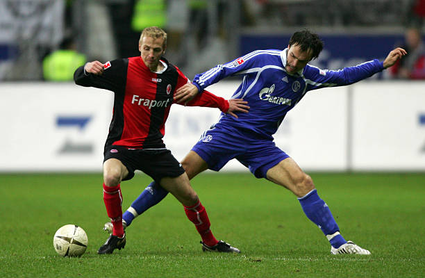 无畏勇气的 无畏勇气的